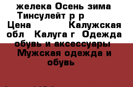 Reebok желека Осень-зима Тинсулейт р-р 44,46 › Цена ­ 2 000 - Калужская обл., Калуга г. Одежда, обувь и аксессуары » Мужская одежда и обувь   